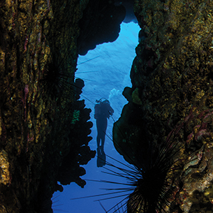 Scuba diver near an underwater arch